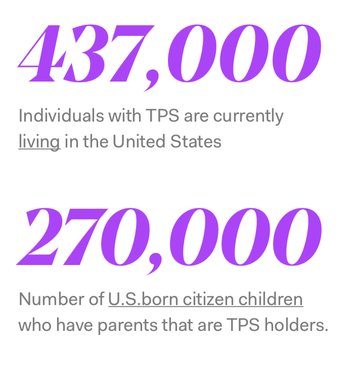 TPS Holders 1 